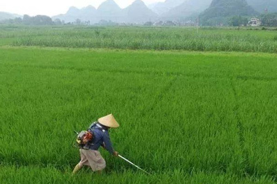 公司生產的除草劑使用方法及分類